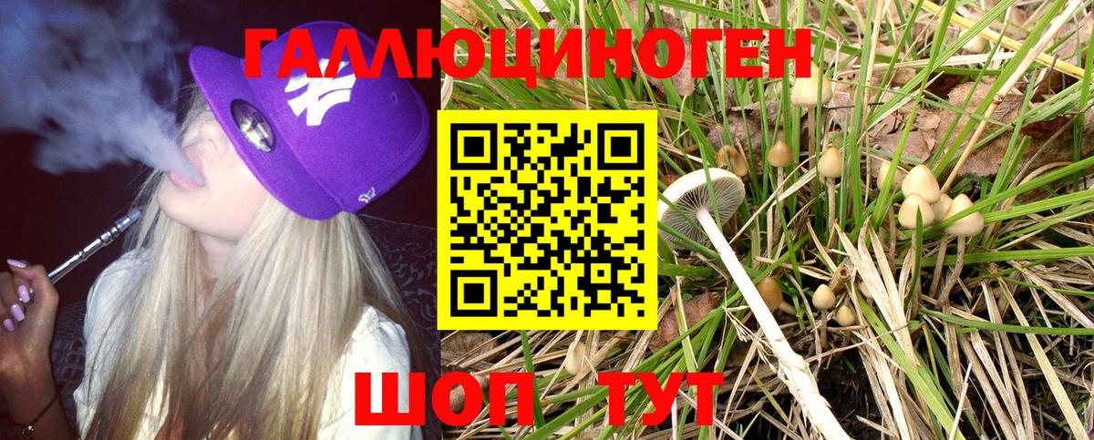 Псилоцибиновые грибы GOLDEN TEACHER  Вход с VPN  Рязань 